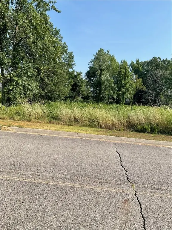 Lot 28 E C Street, Russellville, AR 72802 - #1
