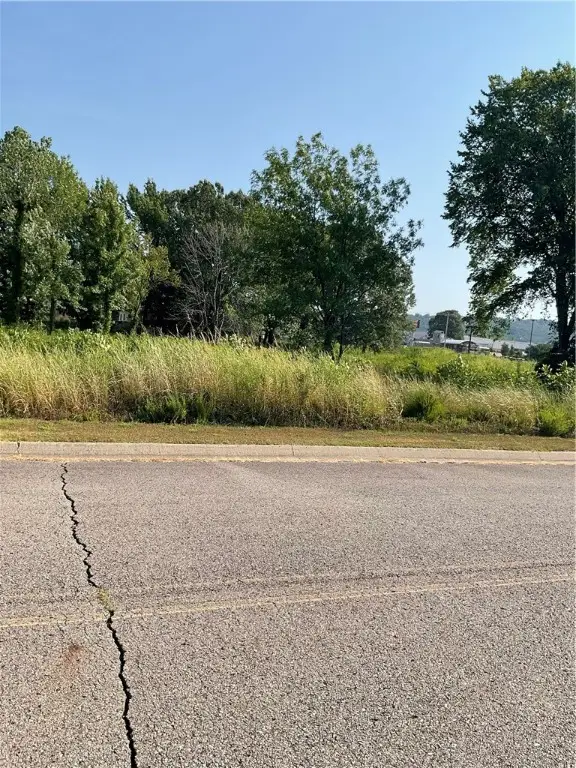 Lot 28 E C Street, Russellville, AR 72802 - #2