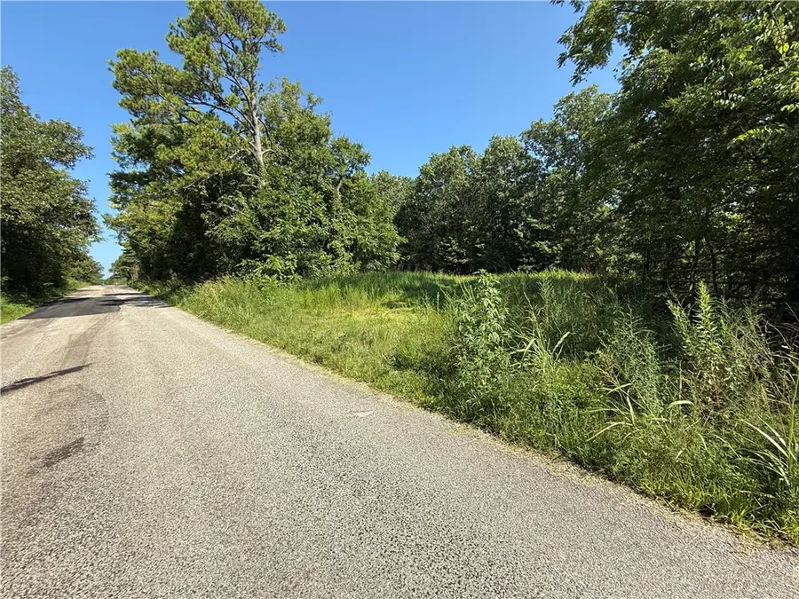000 Tract C County Road 516, Berryville, AR 72616 - Image #3
