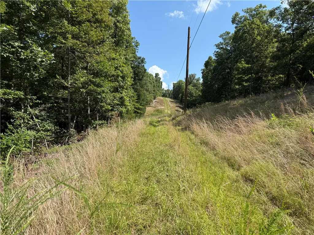 000 Tract D County Rd 516, Berryville, AR 72616 - Image #1