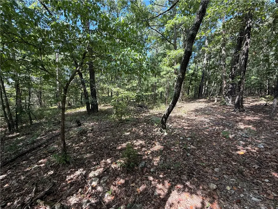 000 Tract D County Rd 516, Berryville, AR 72616 - Image #3