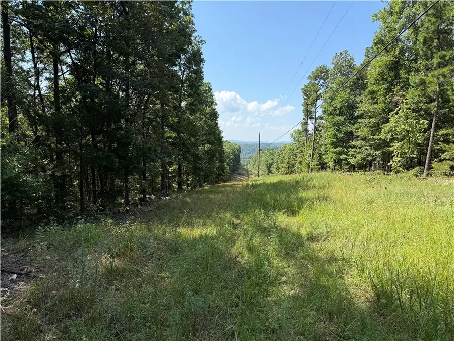 000 Tract E County Road 516, Berryville, AR 72616 - Image #3