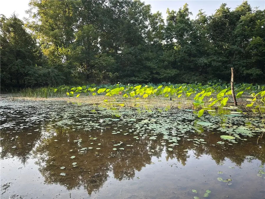 19807 Highway 127, Garfield, AR 72732 - Image #3