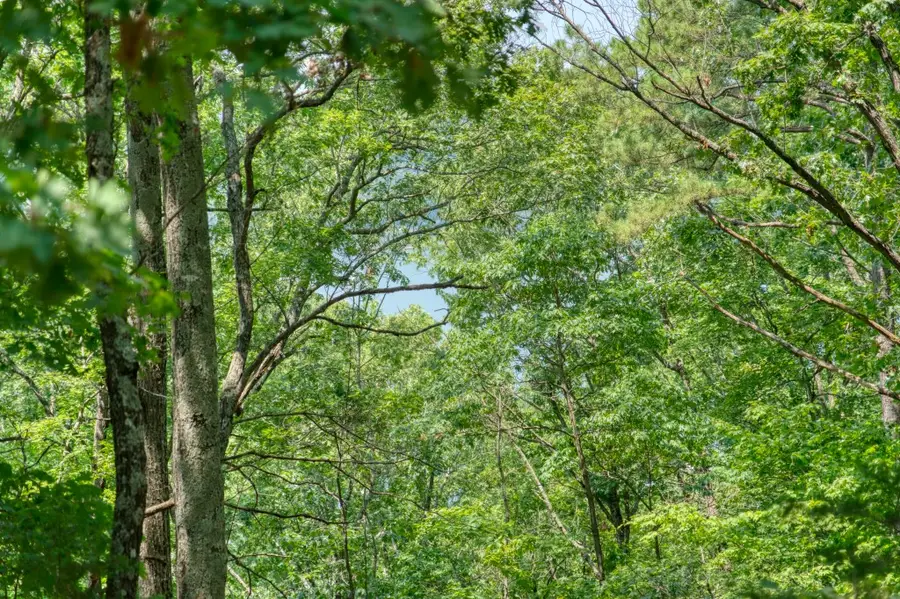 County Road 1531, Eureka Springs, AR 72632 - Image #2