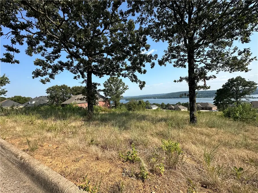 Lot 119 Castle Rock Drive, Russellville, AR 72802 - Image #2