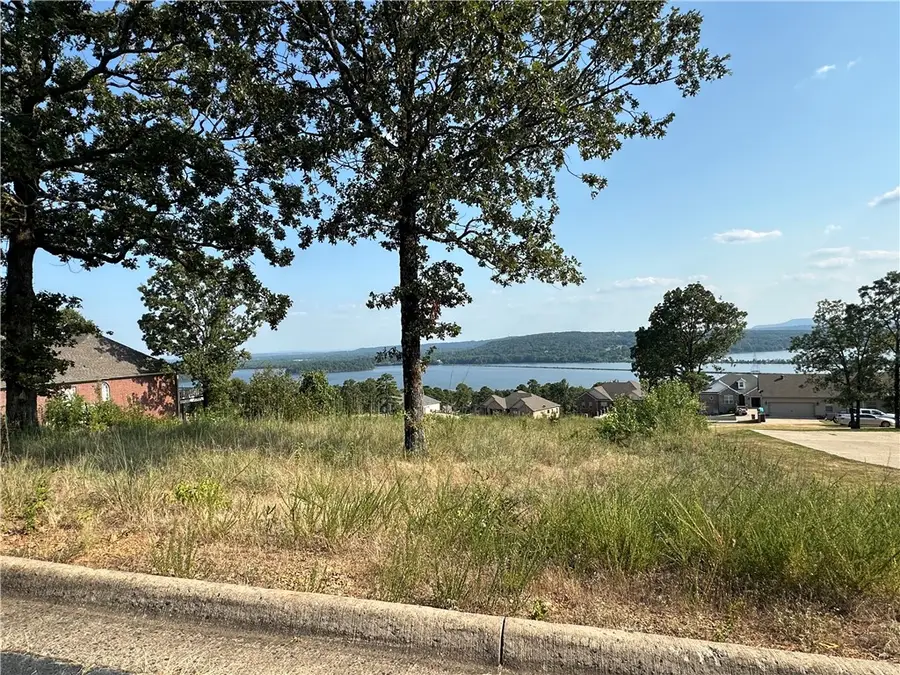 Lot 119 Castle Rock Drive, Russellville, AR 72802 - Image #3