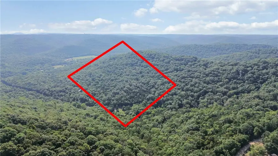 446 Nightingale Road, Eureka Springs, AR 72631 - Image #2