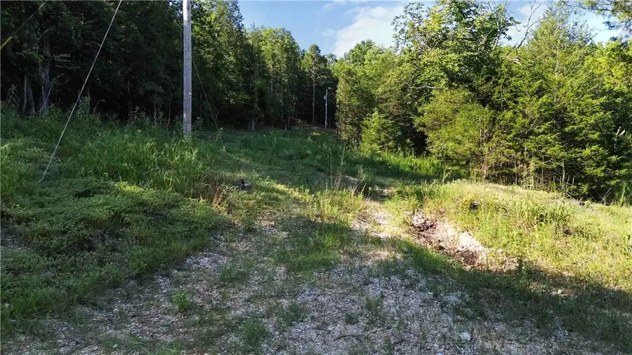 446 Nightingale Road, Eureka Springs, AR 72631 - Image #3