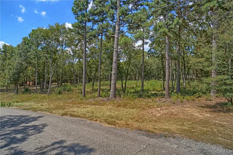 257 Cagle Rock Circle, Russellville, AR 72802 - Image #3