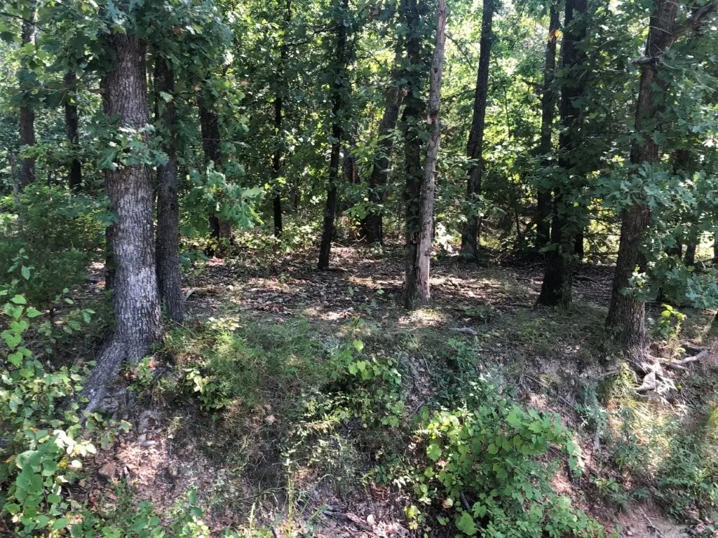Lot 32 Belgravia Drive, Bella Vista, AR 72715 - #1