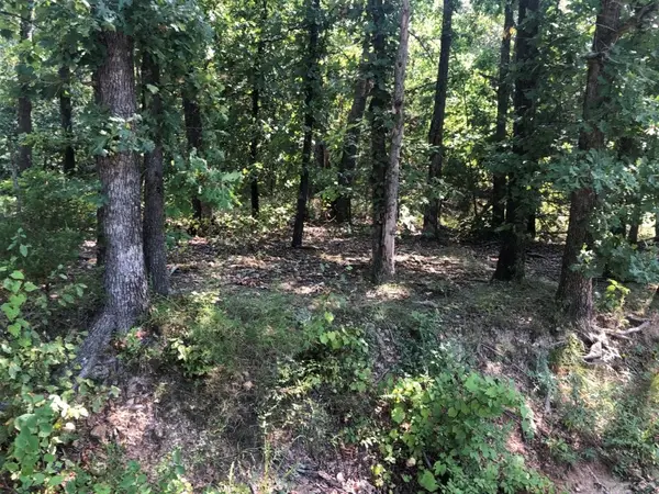 Lot 32 Belgravia Drive, Bella Vista, AR 72715