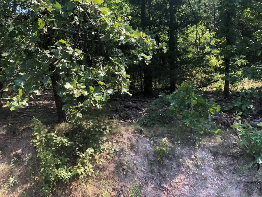 Lot 32 Belgravia Drive, Bella Vista, AR 72715 - #2