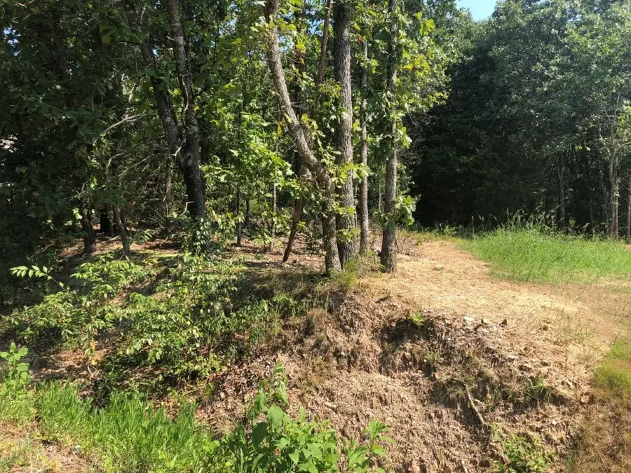 Lot 32 Belgravia Drive, Bella Vista, AR 72715 - #3