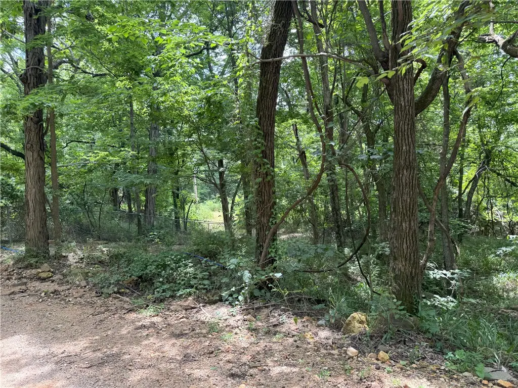TBD Gum Springs Road, Parthenon, AR 72666 - Image #1