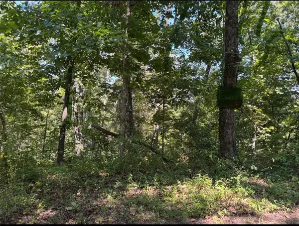 Lot 12 Block 5 Halford Circle, Bella Vista, AR 72715