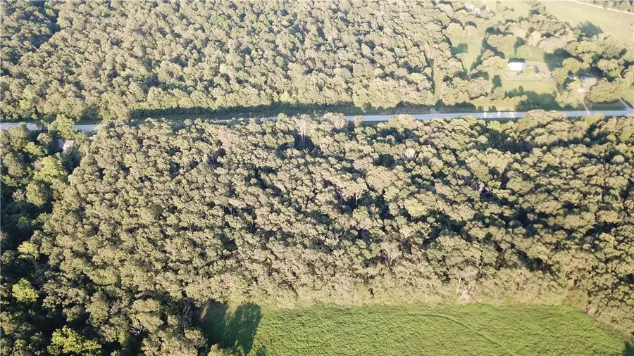 Hwy 295, Hindsville, AR 72738 - Image #2