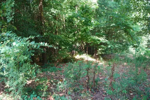 Lot 5 Neffwood Lane, Bella Vista, AR 72715