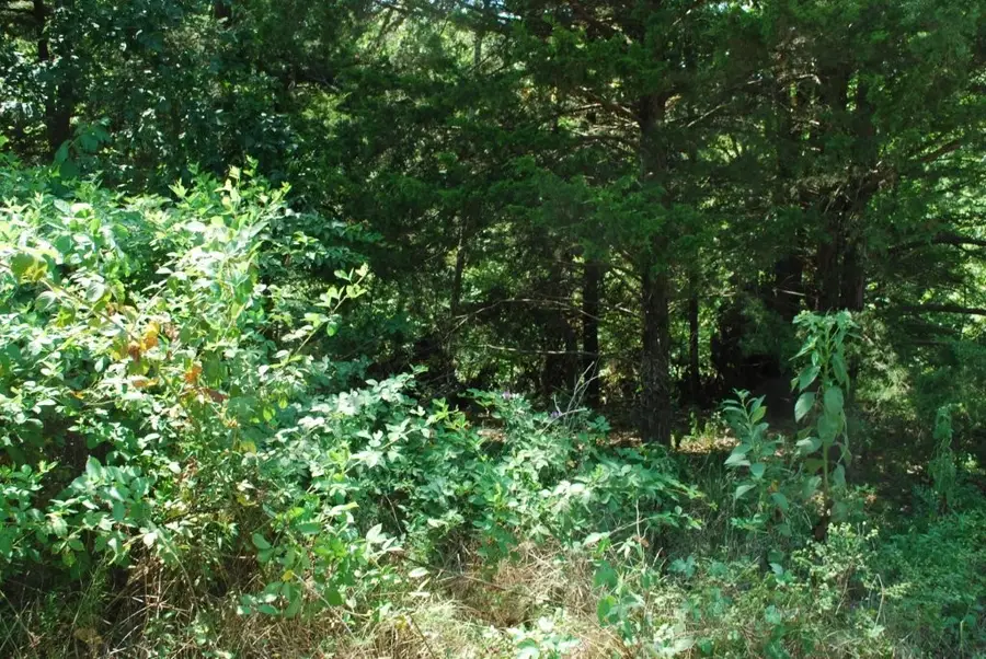 Lot 6 Scalloway Drive, Bella Vista, AR 72715 - #2