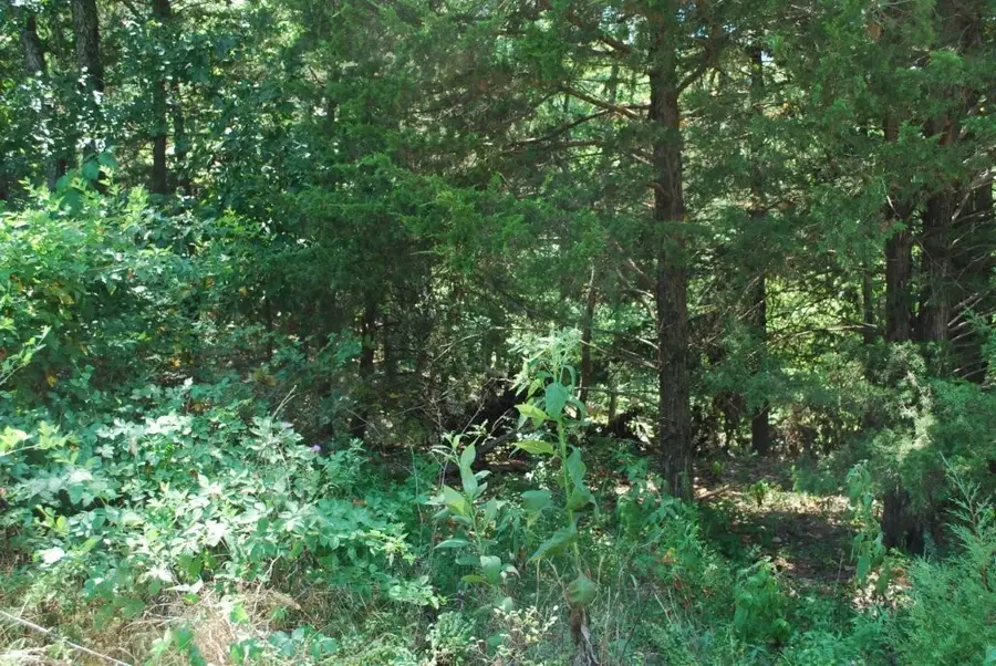 Lot 6 Scalloway Drive, Bella Vista, AR 72715 - #3