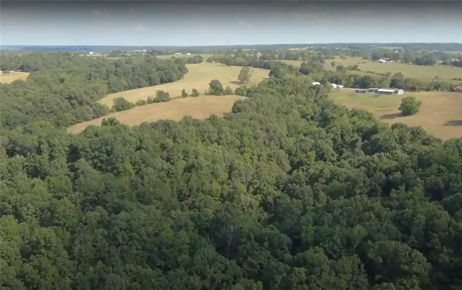 1548 Grassy Gap Road, Harrison, AR 72601 - Image #2