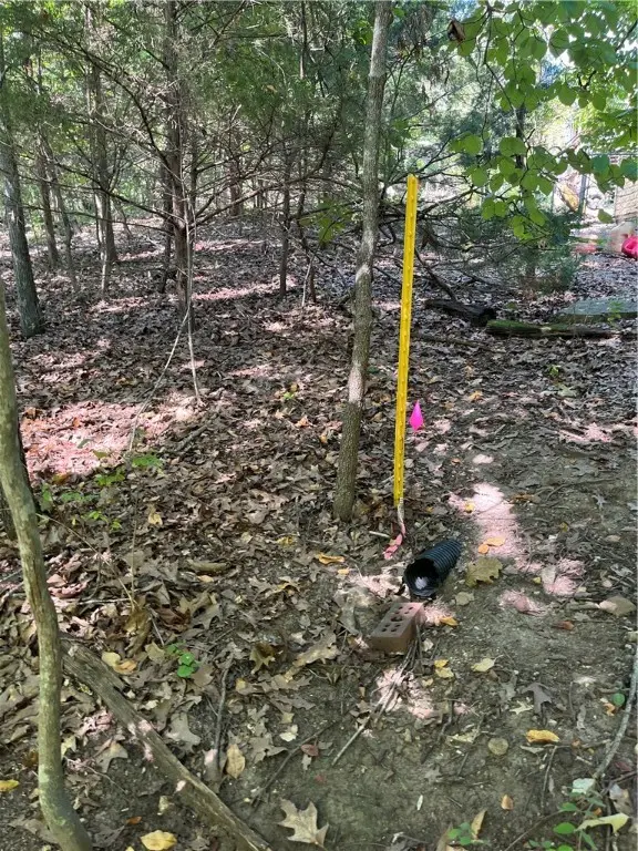 Lt 23,24,25 Sycamore Tree Lane, Lakeview, AR 72642