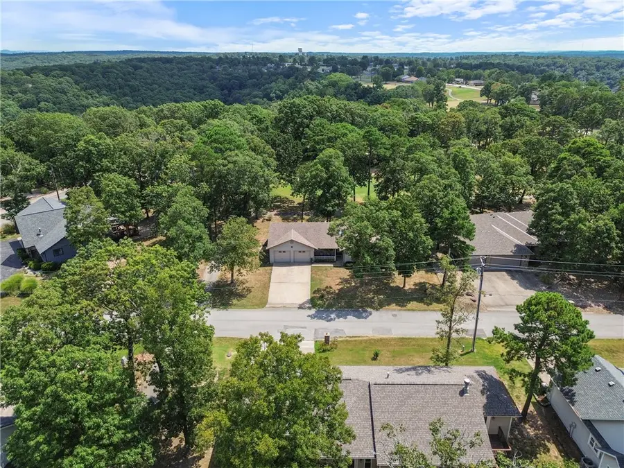 12 Hillcrest Drive, Holiday Island, AR 72631 - Image #3