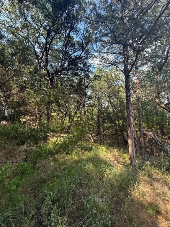 74 Twin Peak Drive, Holiday Island, AR 72631 - Image #3