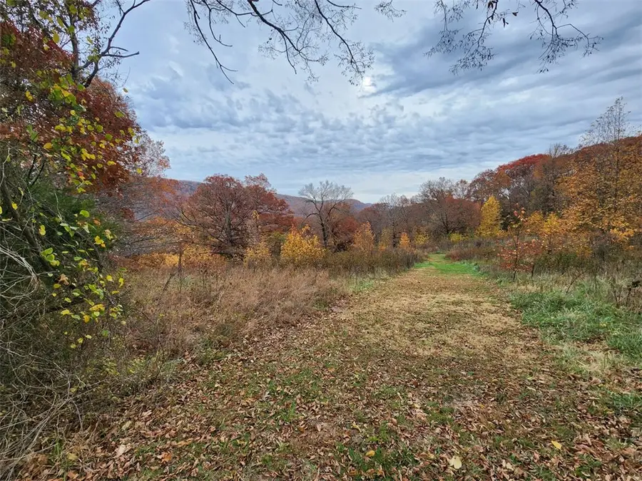 Nc 8465, Parthenon, AR 72666 - Image #2