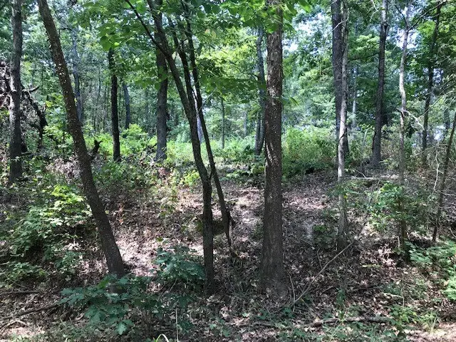 Lot 23 Block 2 Armitage Drive, Bella Vista, AR 72715 - #2