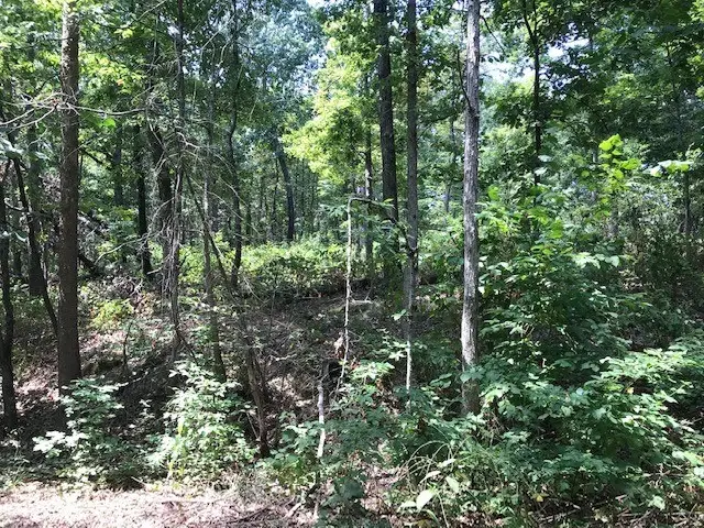 Lot 23 Block 2 Armitage Drive, Bella Vista, AR 72715 - #3