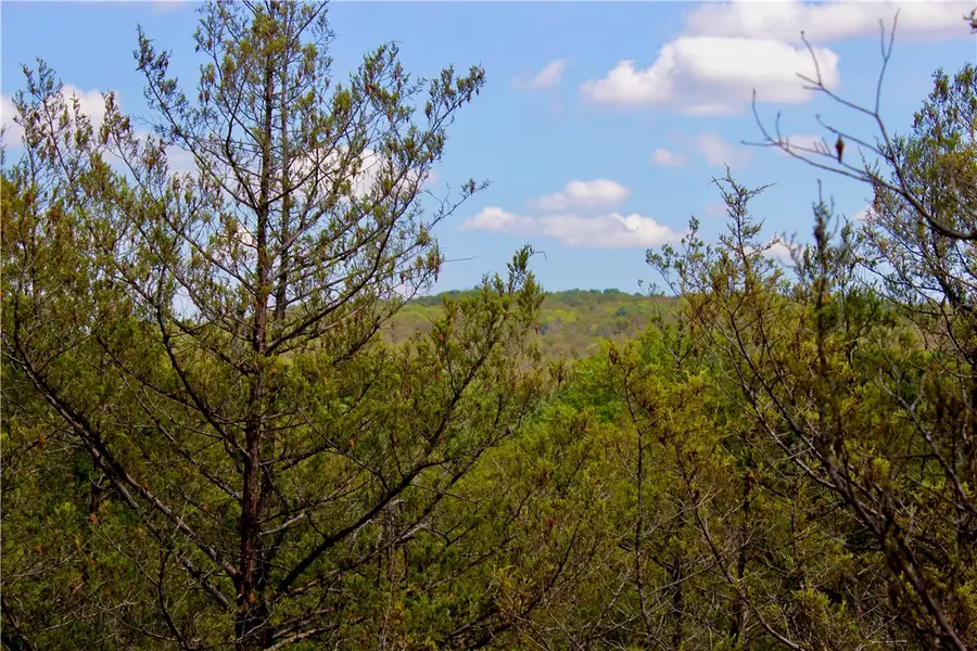 County Road 2264, Cross, AR 72631 - Image #3