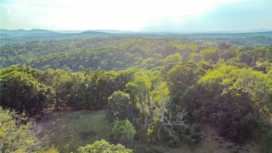 400 Fowler Spg Road, Saint Joe, AR 72675 - #3