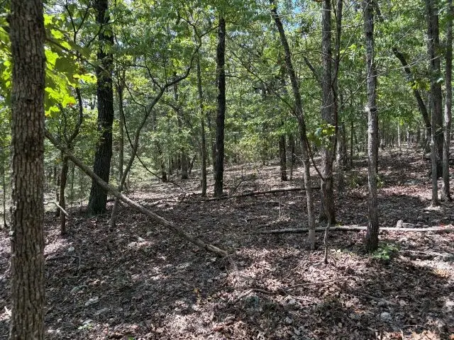 001-05823-000 Mc 8117, Flippin, AR 72634 - Image #3