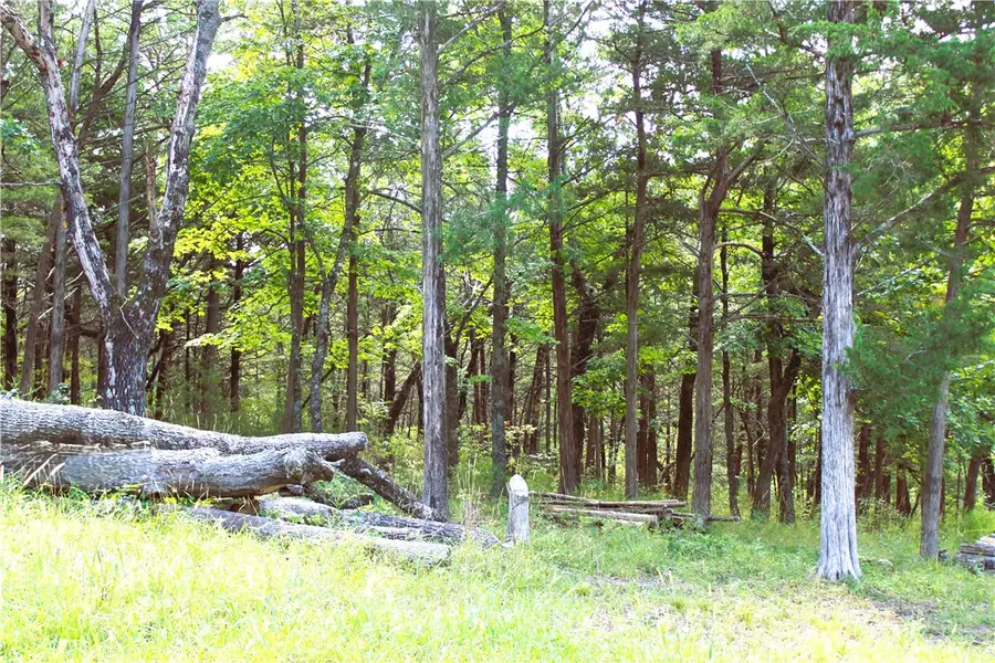 10 Twin Peak Drive, Holiday Island, AR 72631 - Image #3