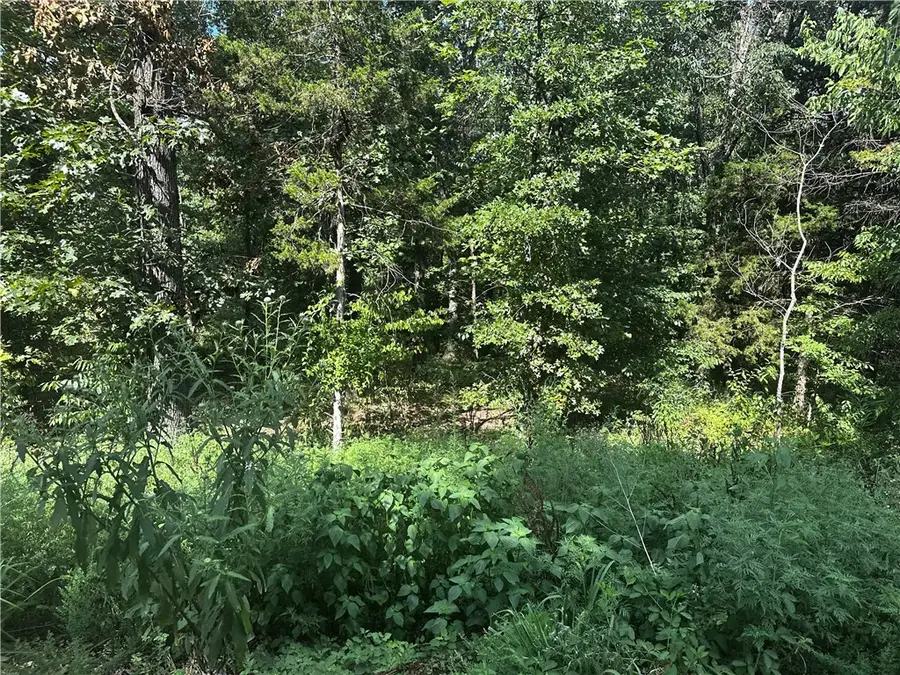 Allendale Drive, Bella Vista, AR 72714 - Image #2