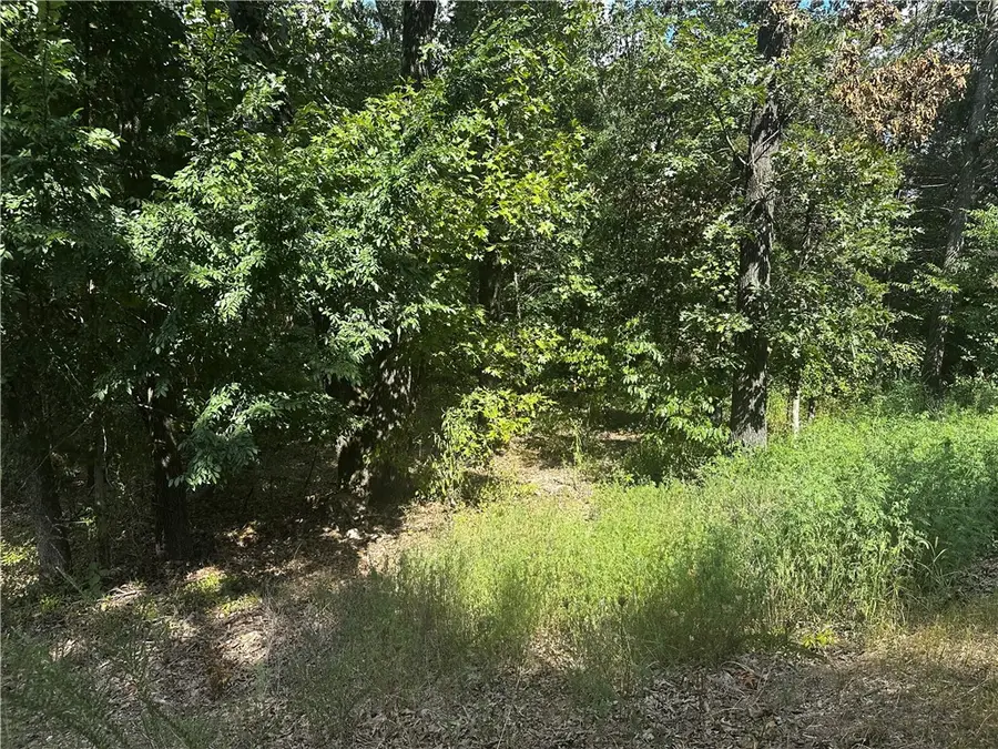 Allendale Drive, Bella Vista, AR 72714 - Image #3