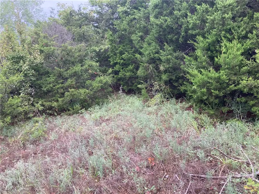 TBD Hillside Drive, Holiday Island, AR 72631 - Image #3