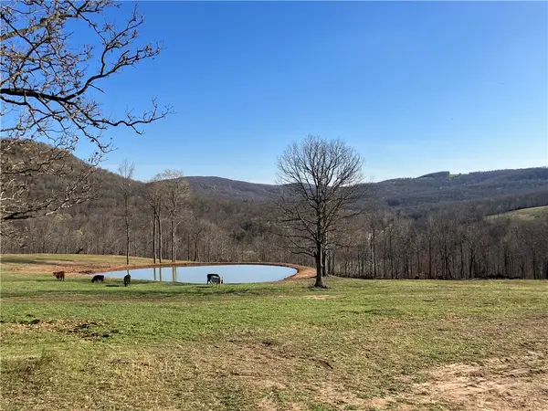 14114 Madison 3605 Road, Kingston, AR 72742