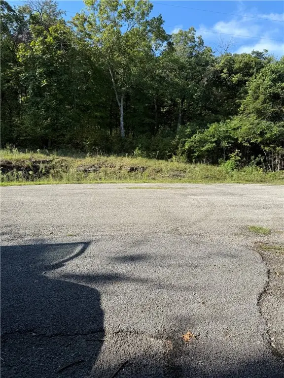 6 Puma Lane, Holiday Island, AR 72631 - Image #2