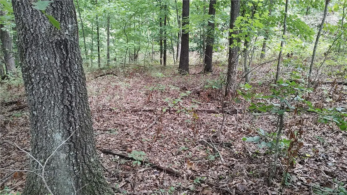 Tummell Drive, Bella Vista, AR 72715 - #1