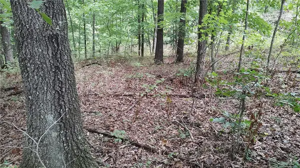 Tummell Drive, Bella Vista, AR 72715