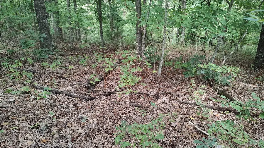 Tummell Drive, Bella Vista, AR 72715 - #2