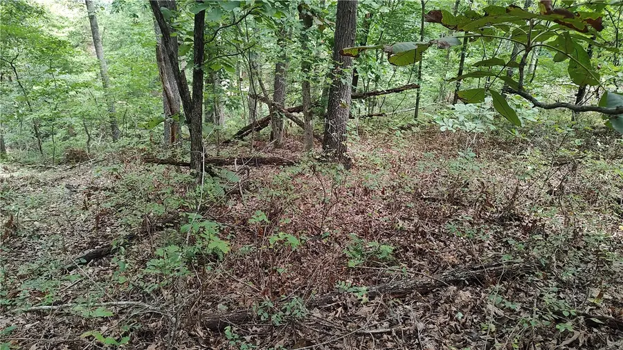 Tummell Drive, Bella Vista, AR 72715 - #3