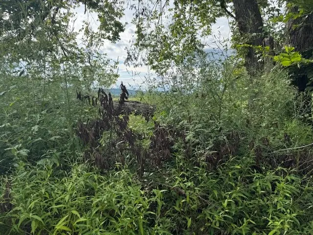 608 W Holt, Lincoln, AR 72744 - Image #2