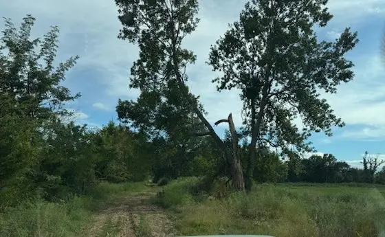 608 W Holt, Lincoln, AR 72744 - Image #3