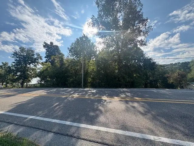 Lot 15 & 2A S 5 Highway, Norfork, AR 72658 - #3