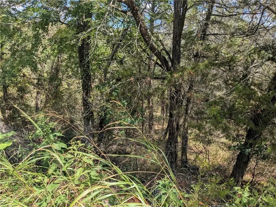 24 Beaver Drive, Holiday Island, AR 72631 - Image #3