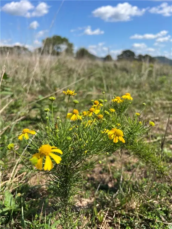 001-04574-002 County Road 403, Berryville, AR 72616 - Image #2