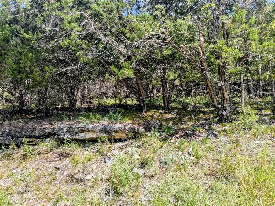 108 Appaloosa Drive, Holiday Island, AR 72631 - Image #3