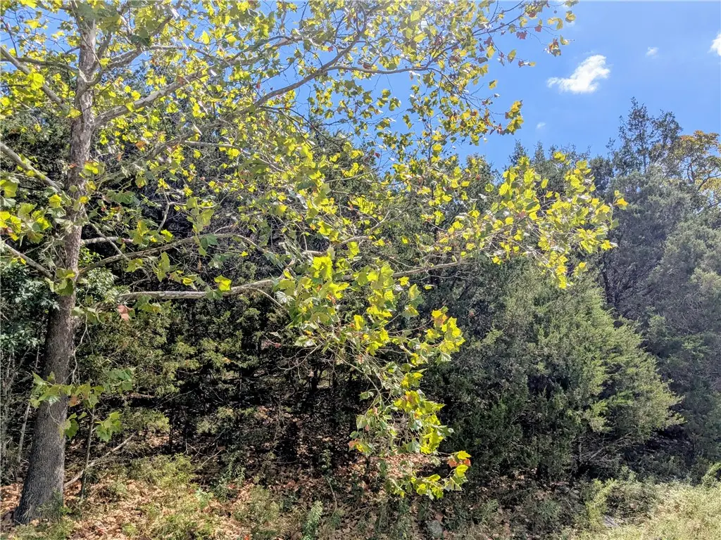 112 Appaloosa Drive, Holiday Island, AR 72631 - Image #1